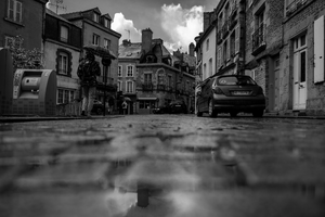 Enlèvement arbre urgence Alençon